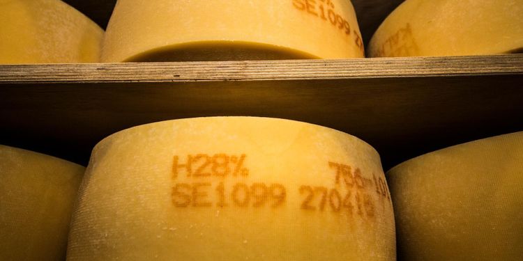 Ostkriget fortsätter med förbud och anklagelser