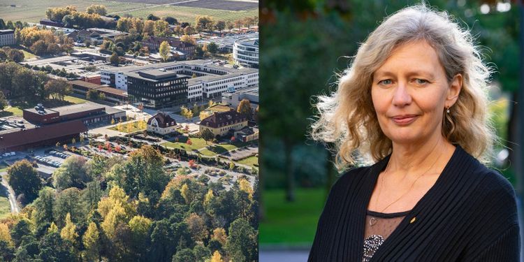 SLU-styrelse vill ha Chalmers-kandidat