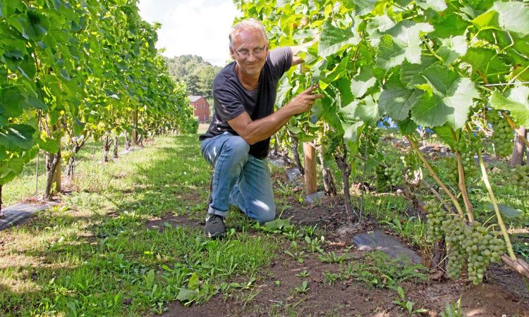 Hans vin fick internationellt pris