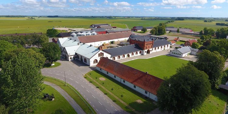 Bollerup satsar 20 miljoner på nytt grisstall