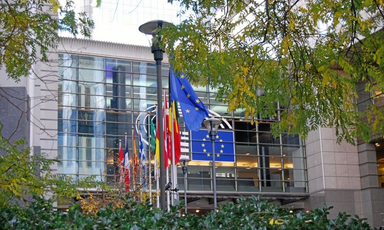 Förslaget: Två års övergångsperiod till nya Cap