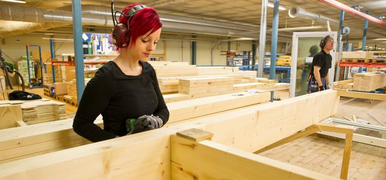 Träbygg bäst för klimatet