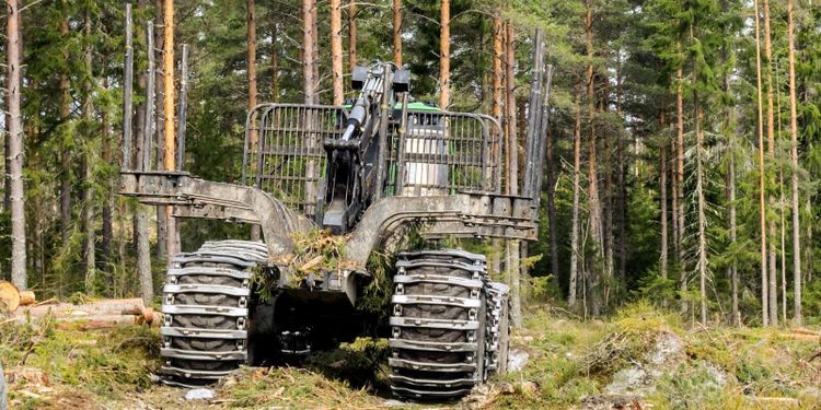 Sjunkande kronkurs oroar skogsmaskinsförsäljare