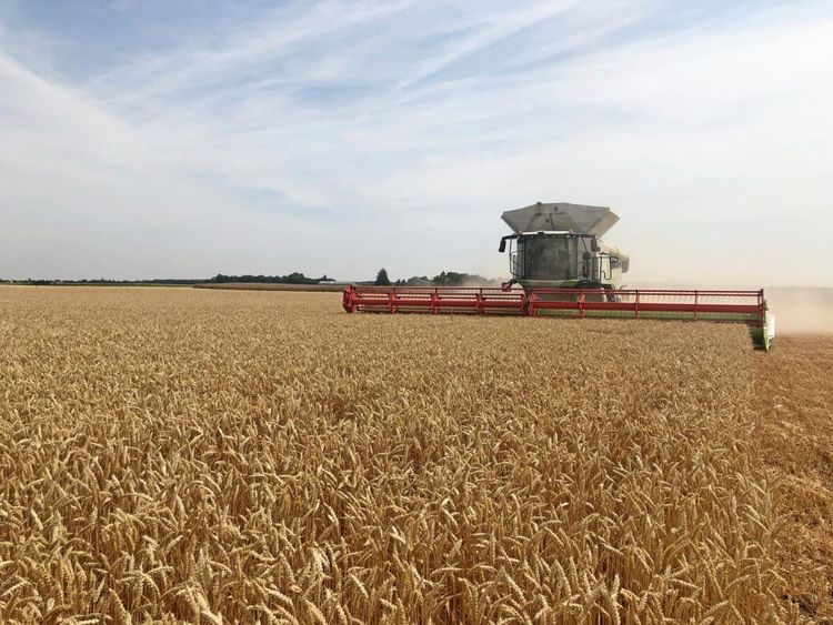 Första tröskan redan såld i Sverige: ”Spännande utmaning”