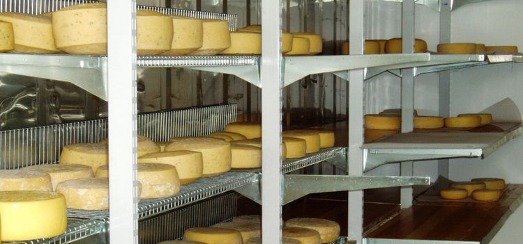 Så mycket investerar Arla i svensk osttillverkning