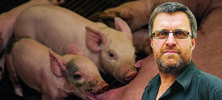 Nyckeln till ett högt grispris