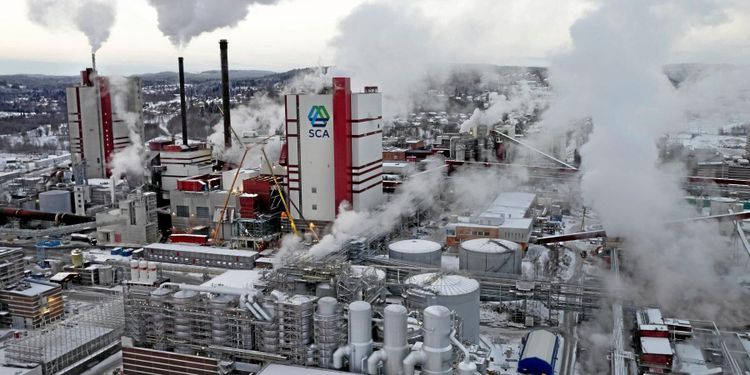 Torkan inget hot mot industrins virkesförsörjning