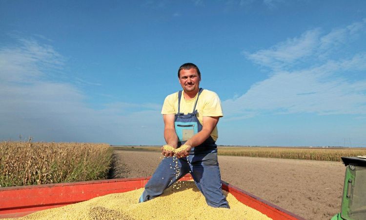 55 miljarder till USA:s bönder