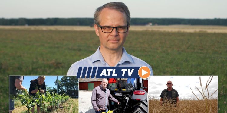 ATL TV: Vi testar kinesisk toppsäljare