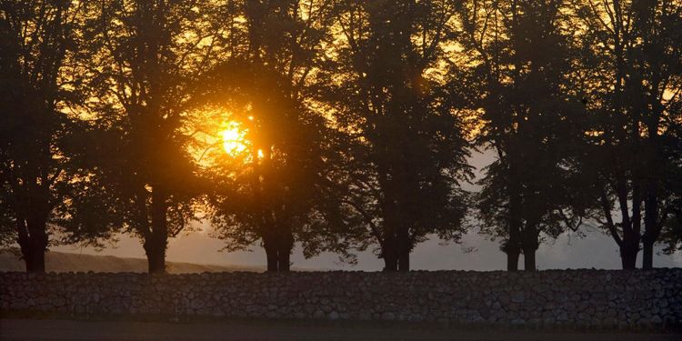 ”Omodernt och ojämställt med fideikommiss”