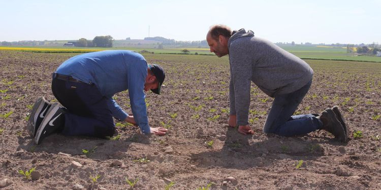 Förbud mot effektivt betningsmedel kritiseras
