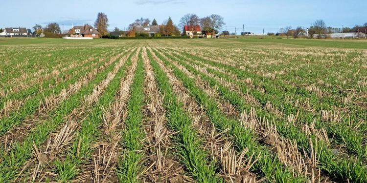 Oro för övertro på kolinlagring i jordbruket