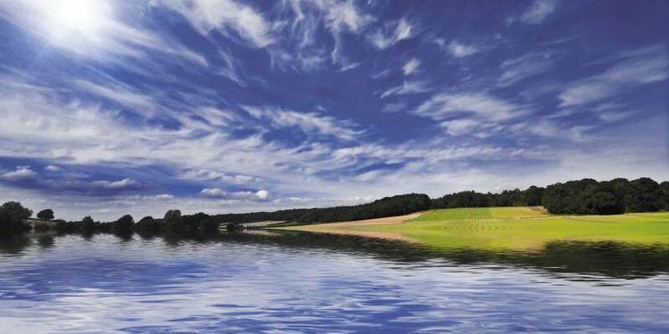 Tvingas betala ersättning för intrång