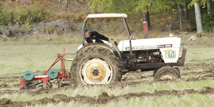 Veterantraktorplöjarna bjöd på nostalgifest