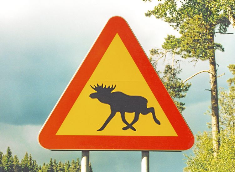 Staten köper organisationers lojalitet