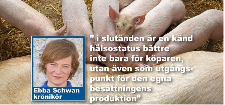 Köp inte in dålig hälsa i stallet