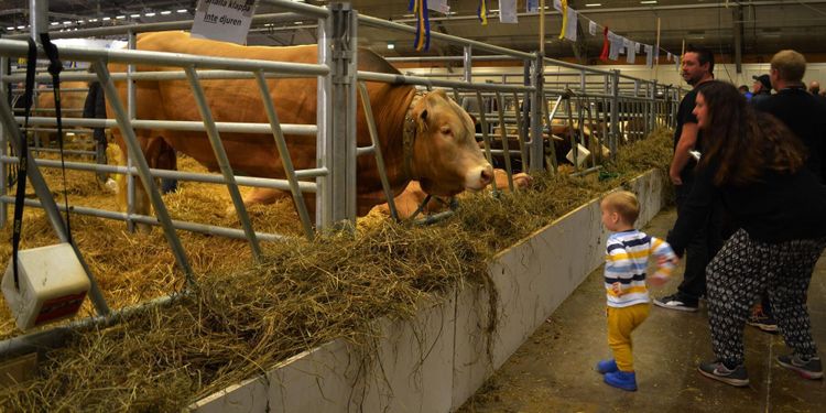 Klart när det blir Elmia Lantbruk