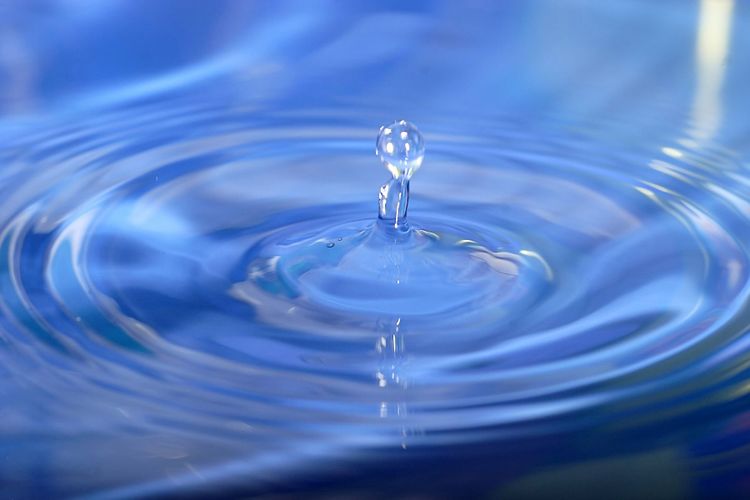 Regn uppskattas på Gotland.