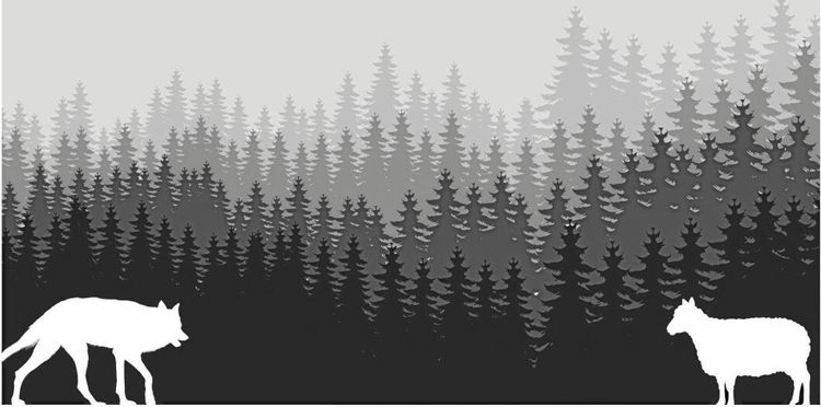 Ge djurägarna ersättning och respekt