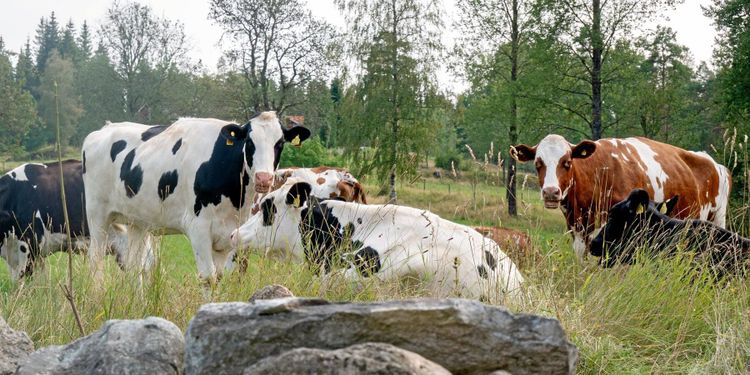 Även Arla måste ta sitt ansvar