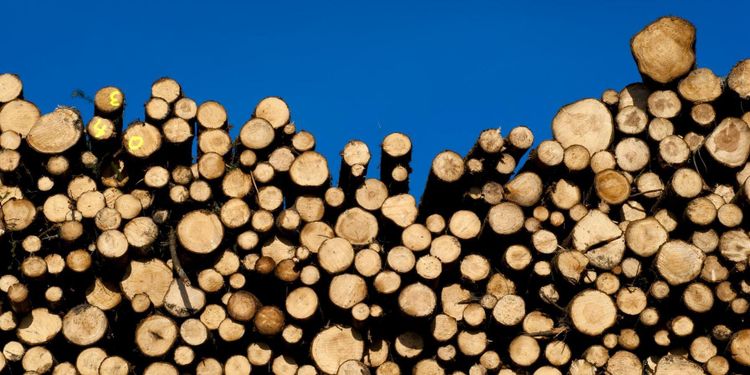 Ett steg närmare slopade uppläggsavgifter