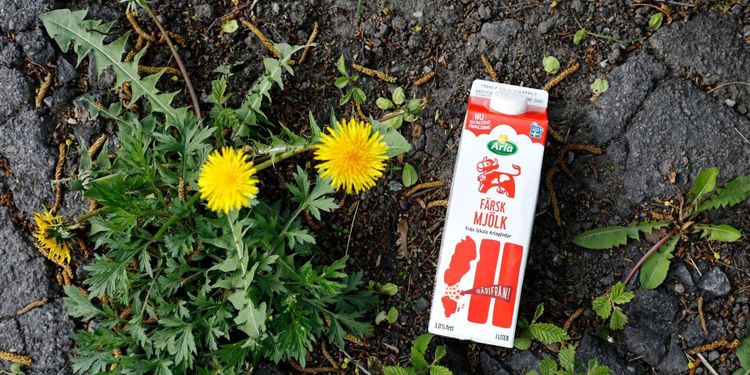 Oklart värde för svensk Arlamjölk