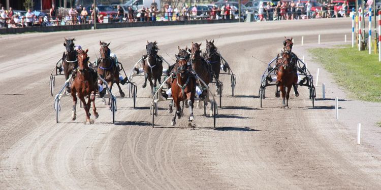 Momsfrågan avgjord – prispeng är momspliktig