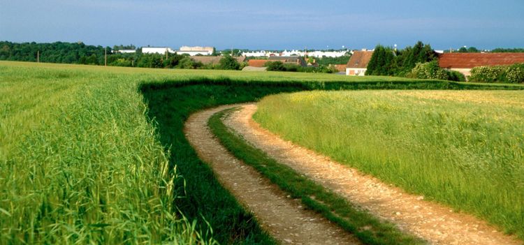 Högre risk för självmord bland franska lantbrukare