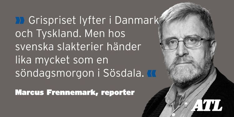 2019 kan bli ett roligt år för grisuppfödarna