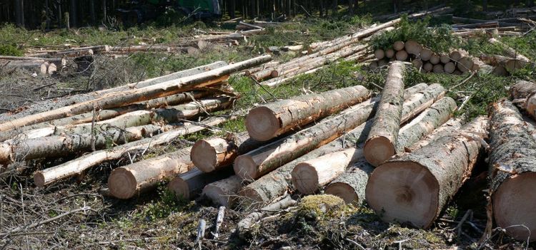 Därför är fastighetspriserna maxade