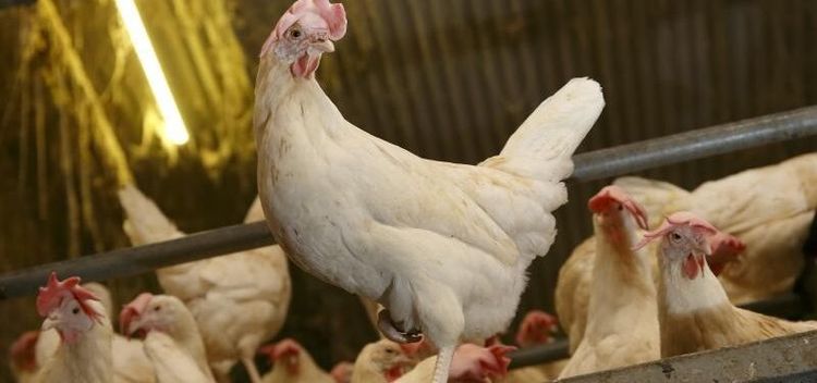 Skyddsområde tas bort