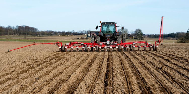 Hög insektsberedskap i betodlingen
