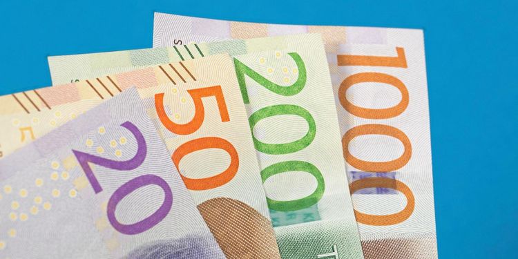 Rekordstark euro ger mer gårdsstöd