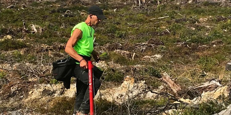 Han satte 21 000 plantor på ett dygn