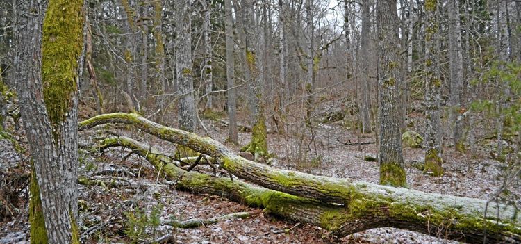 M och C vill stoppa inventering