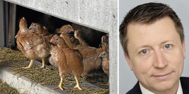 Scandi Standards framgångsmodell