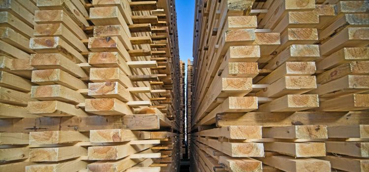 Lägger ned sågverk