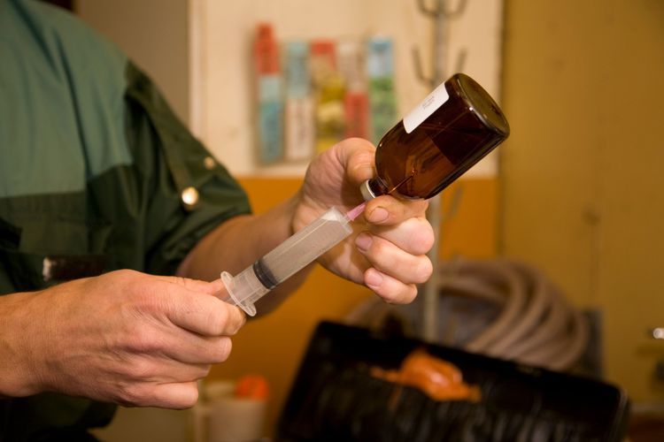 Jordbruksverket behöver ta fram en plan för hur vi ska kunna ha tillgång till veterinärer i hela landet, anser LRF i Örebro.