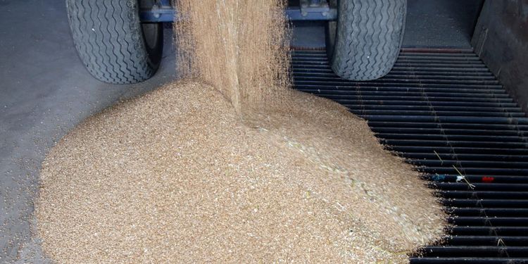 Skåne-möllan säljer aktierna i Vallåkra Lantmannaffär