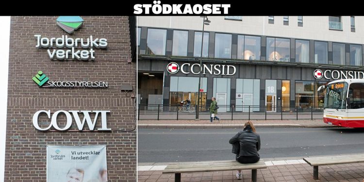 IT-konsulterna vinnare på Jordbruksverkets stödkaos