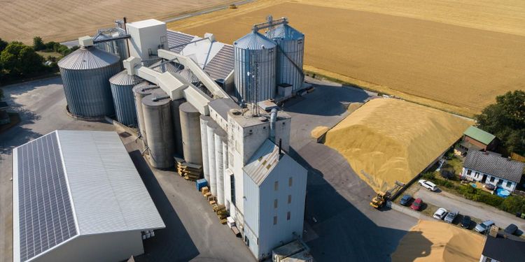 Årets spannmålsskörd slår femårssnittet