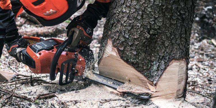 Batterisågarna som duger för proffsen