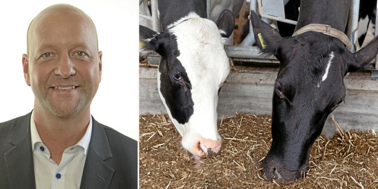 Oscarsson (KD): Bönderna måste få besked