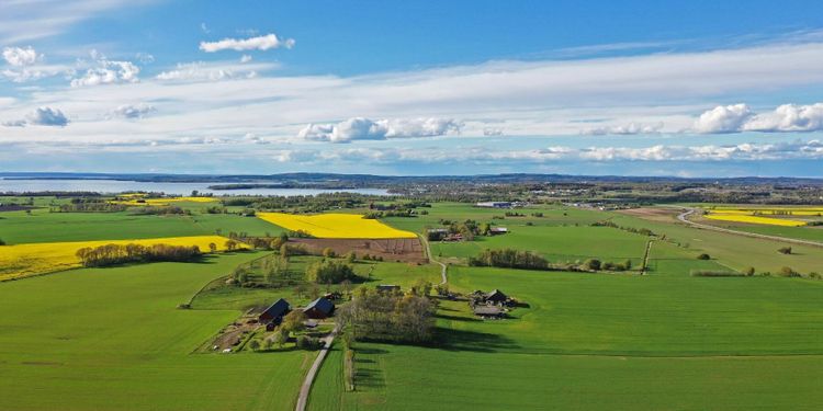 Lantbruksbarometern visar stark framtidstro