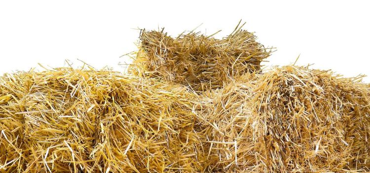 Nu skenar halmpriset