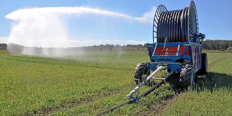 Här krävs rekordtidig bevattning