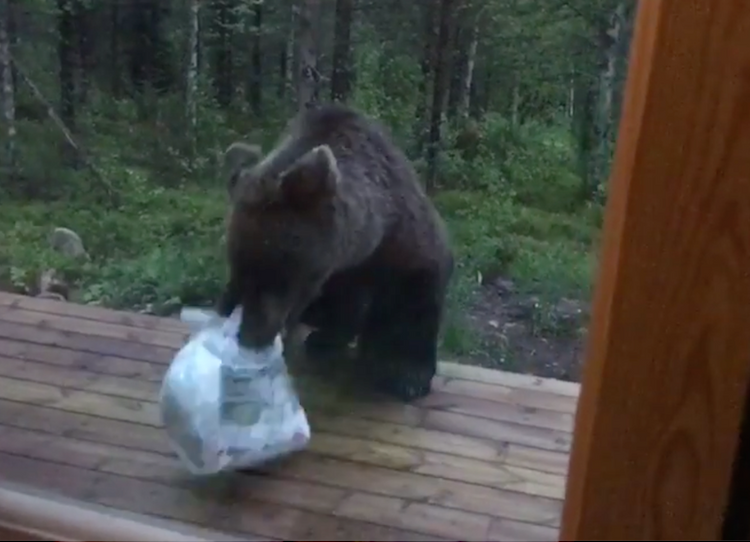 Juho Liikanen bor i Helsingfors, men har sommarstuga utanför Kuusamo nära gränsen till Ryssland.