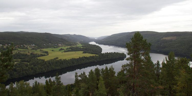 SCA ökar avverkningen