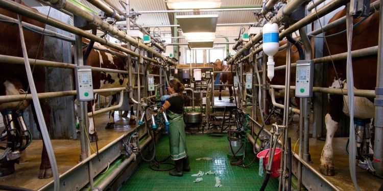 Allt fler söker till naturbruksprogrammen