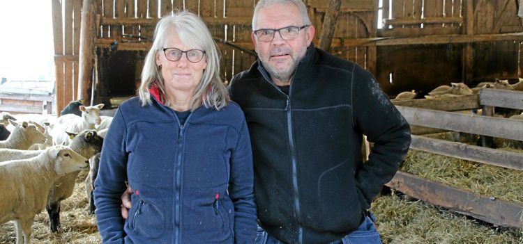 Sociala medier ska lyfta lammen